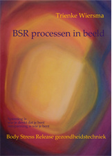 BSR processen in beeld